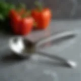 Elegant stainless steel ladle on a textured countertop