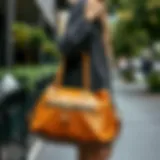 Сумка как практичный и стильный аксессуар: все аспекты выбора и использования Introduction