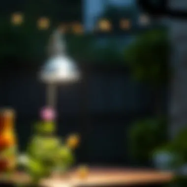 Notable Светодиодный садовый светильник на солнечной батарее: эффективное решение для освещения Notable Светодиодный садовый светильник на солнечной батарее: эффективное решение для освещения