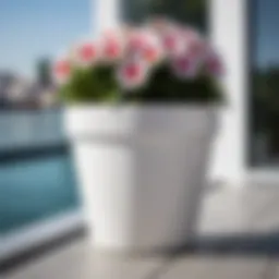 Elegant white flower pot with vibrant blooms