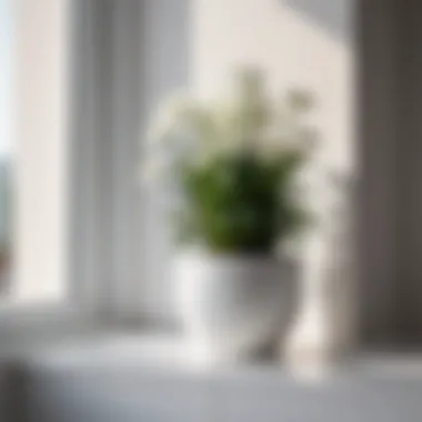 Minimalist interior showcasing white flower pots