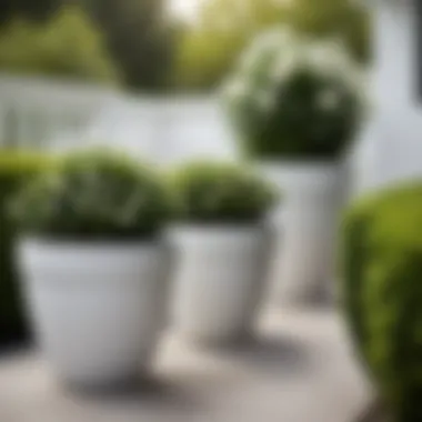 White flower pots in an outdoor garden setting