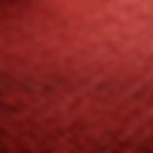 Luxurious red bathroom mat with intricate patterns