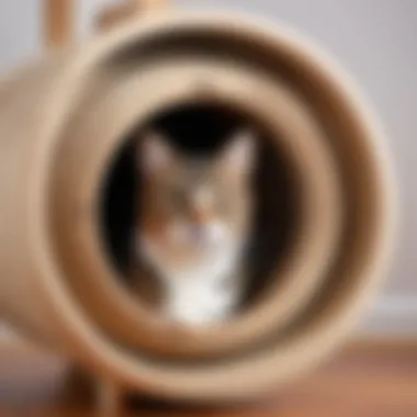 Various types of cat tunnels