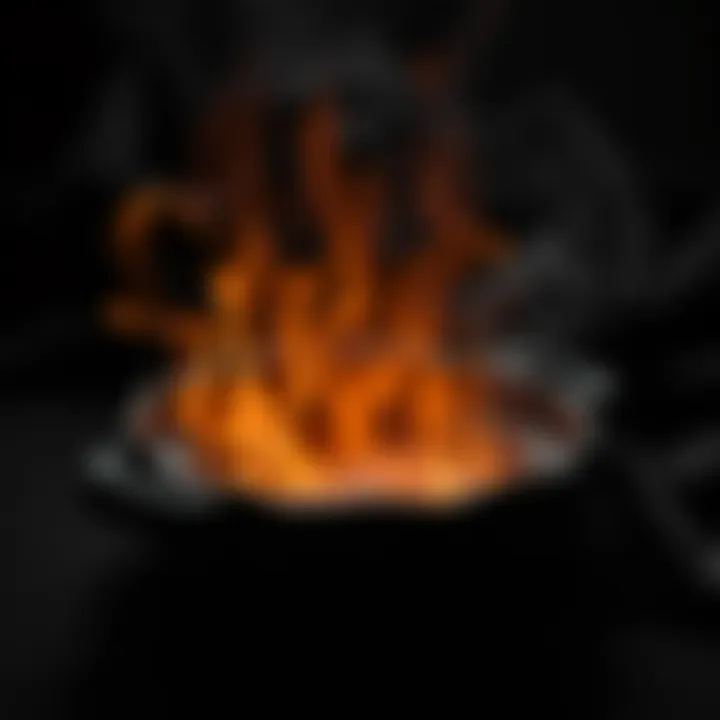 Турбо горелка газовая на баллон: Полный справочник Summary Турбо горелка газовая на баллон: Полный справочник Summary