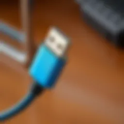 Overview of Type C cables showcasing their design and features