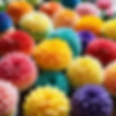 Different types of floral sponges displayed