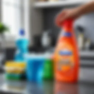 Practical budgeting tips for household spending on cleaning products.