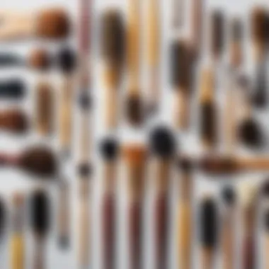 Different types of brushes arranged on a table highlighting their features