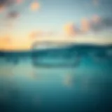 Водонепроницаемые чехлы для телефонов: идеальное решение для подводной съемки Introduction