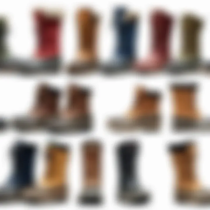 Illustration of various winter boot styles