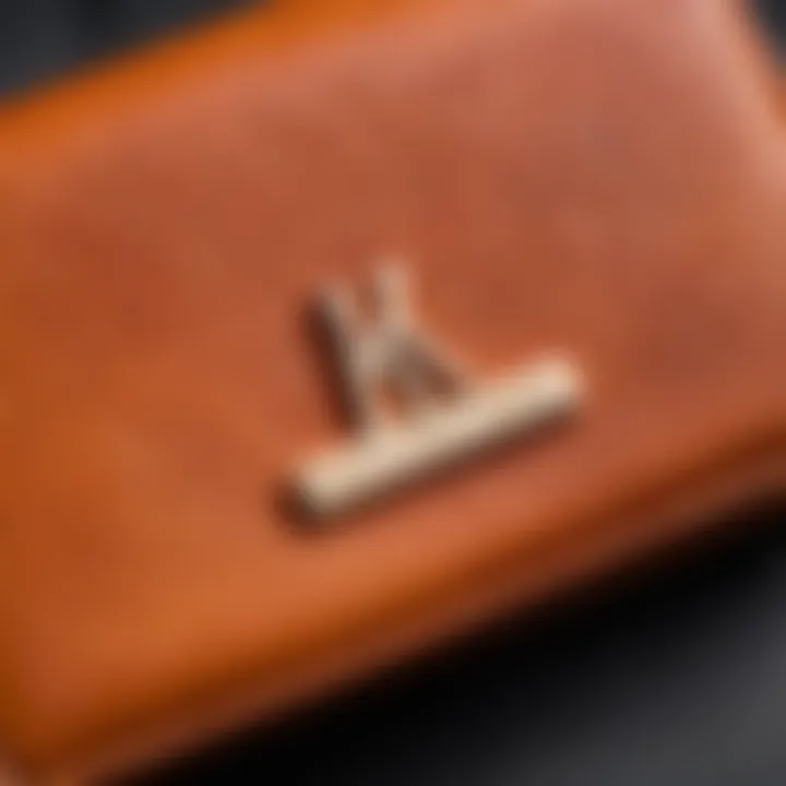 Close-up of a luxury brand wallet with intricate details