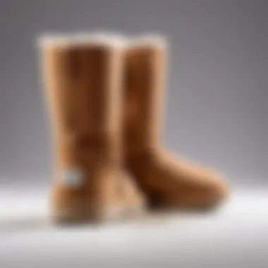 Care instructions for maintaining waterproof UGGs displayed visually